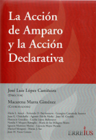 La acción de Amparo y la Acción Declarativa